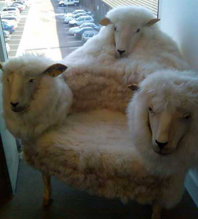 Imagen: Crap Taxidermy